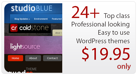 SEO Wordpress Themes