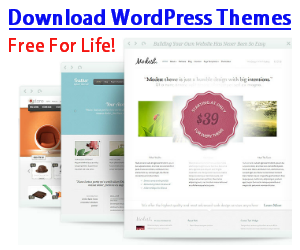 WordPress Themes